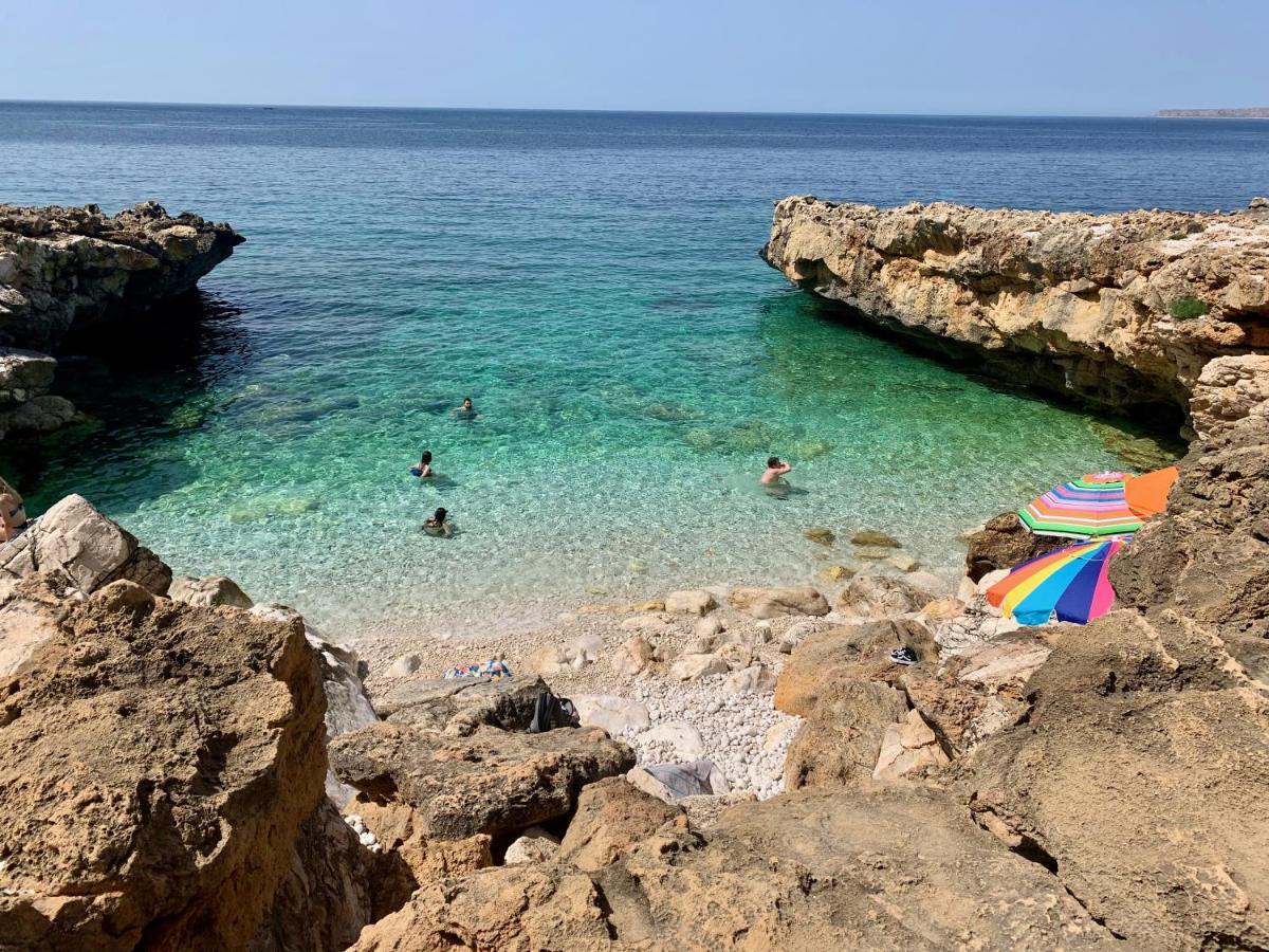 كوستوناتشي L'Oasi Una Pineta Sul Mare المظهر الخارجي الصورة