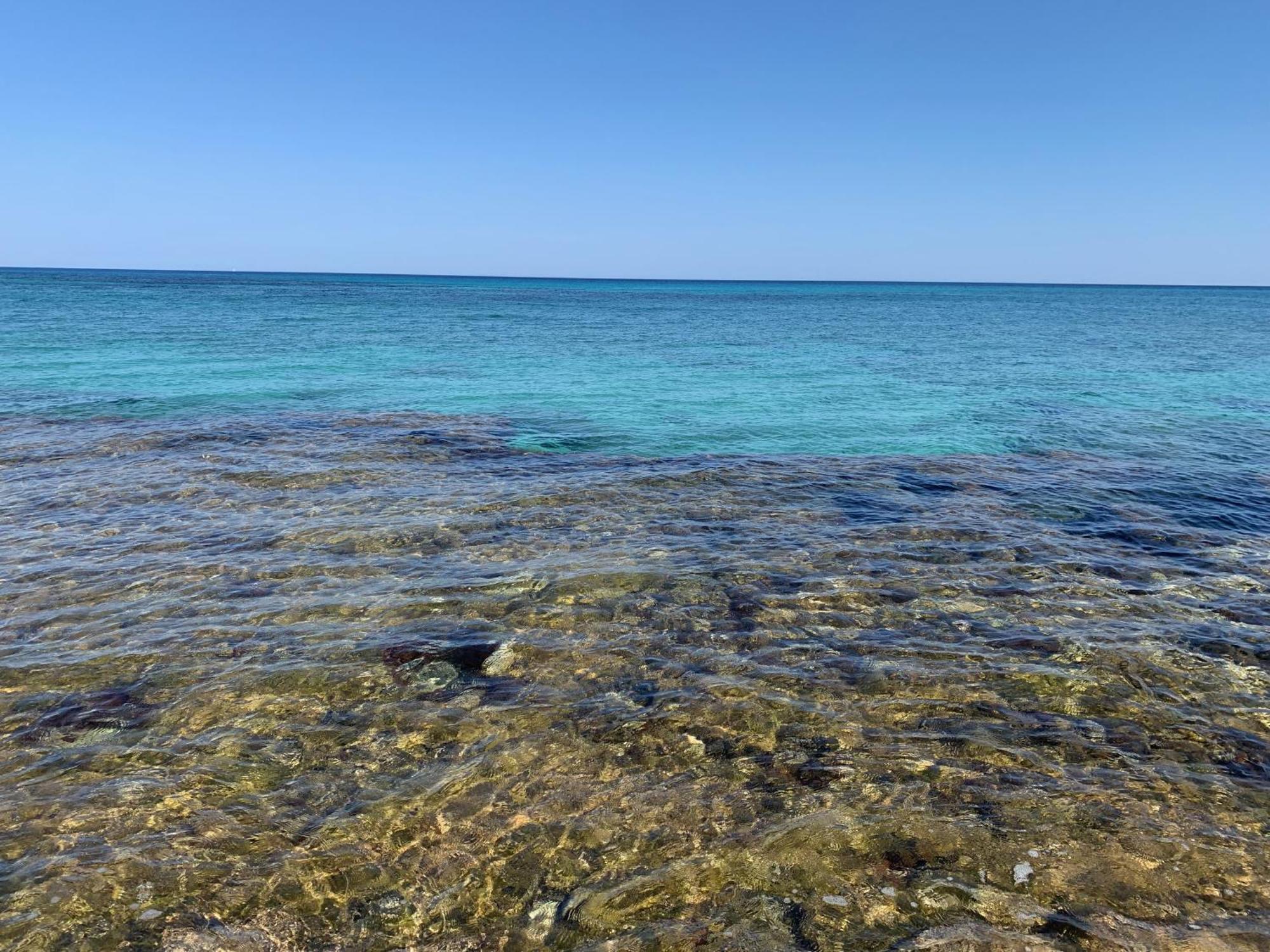 كوستوناتشي L'Oasi Una Pineta Sul Mare المظهر الخارجي الصورة