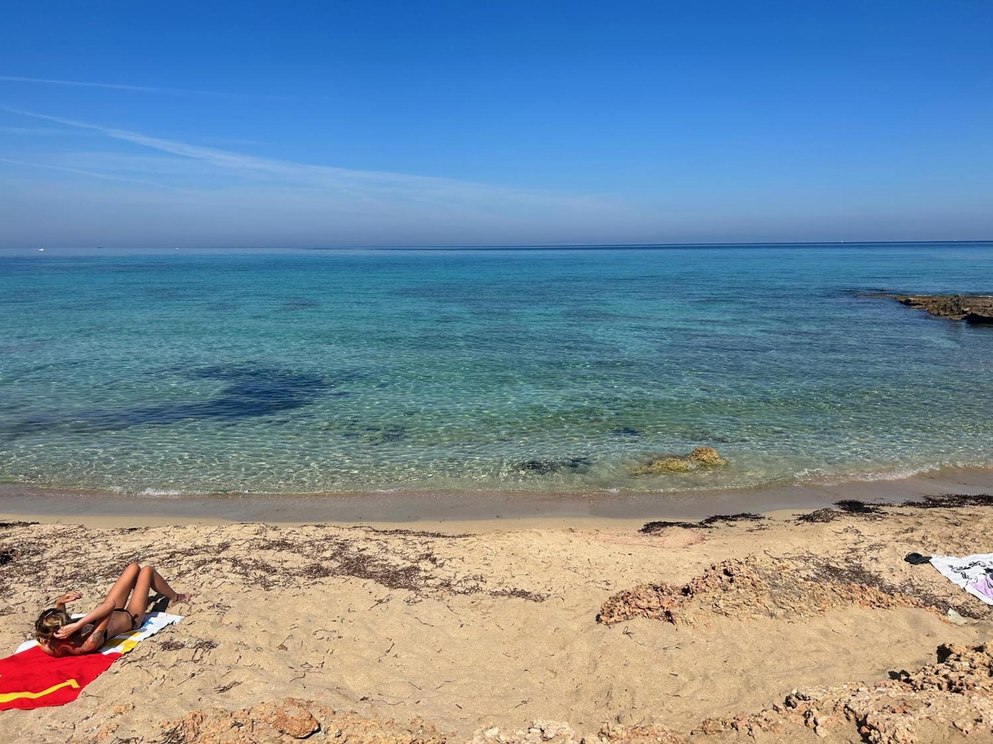 كوستوناتشي L'Oasi Una Pineta Sul Mare المظهر الخارجي الصورة