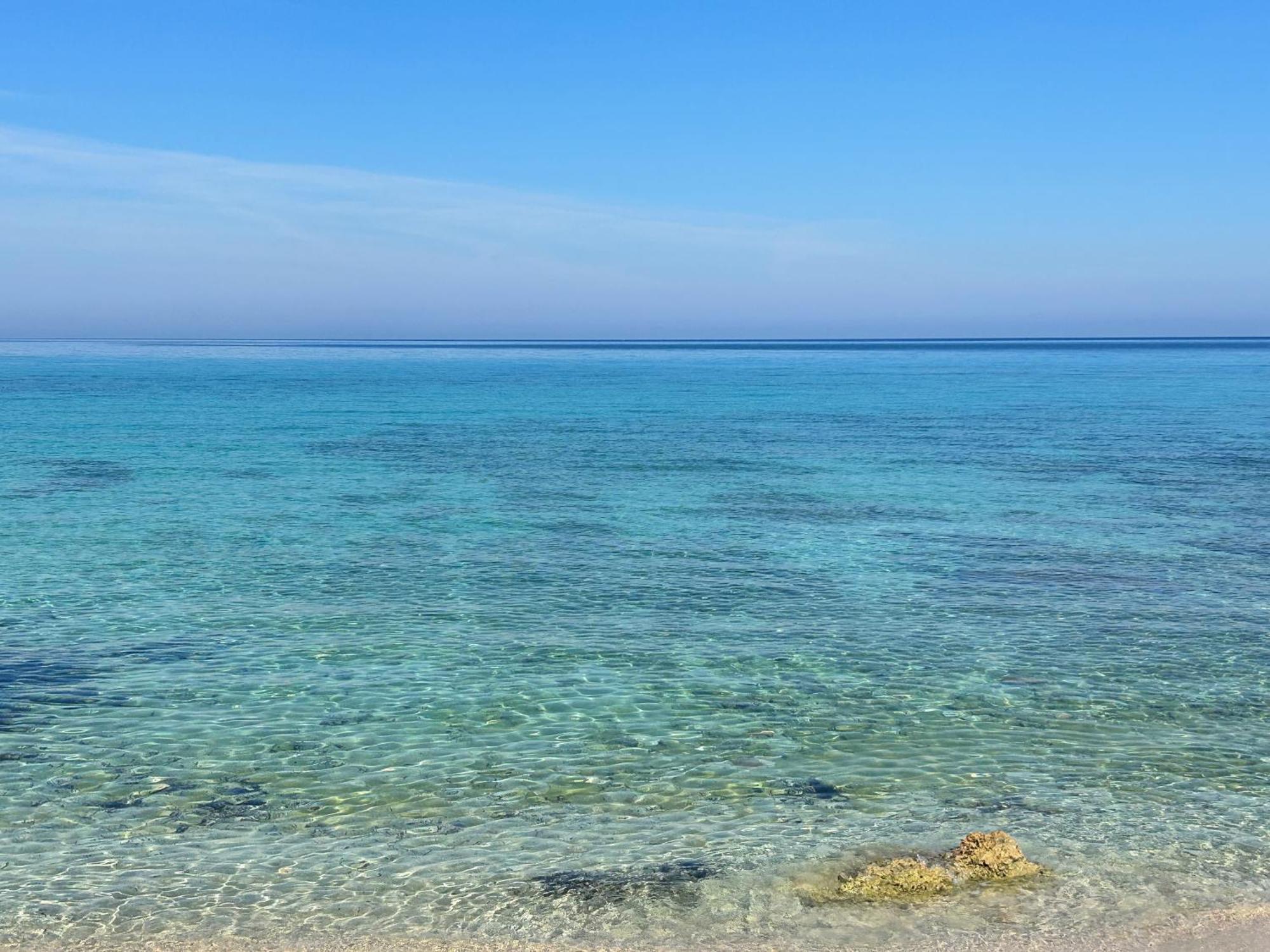 كوستوناتشي L'Oasi Una Pineta Sul Mare المظهر الخارجي الصورة