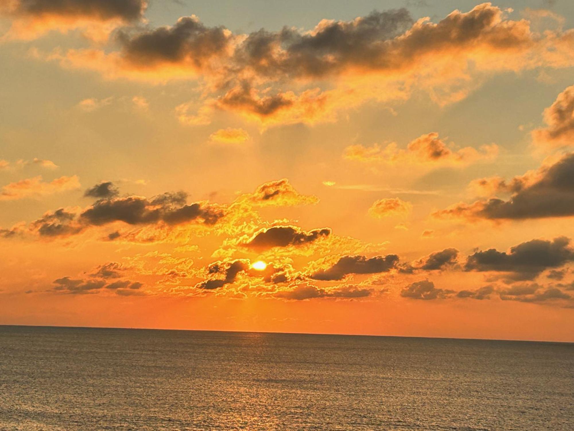 كوستوناتشي L'Oasi Una Pineta Sul Mare المظهر الخارجي الصورة