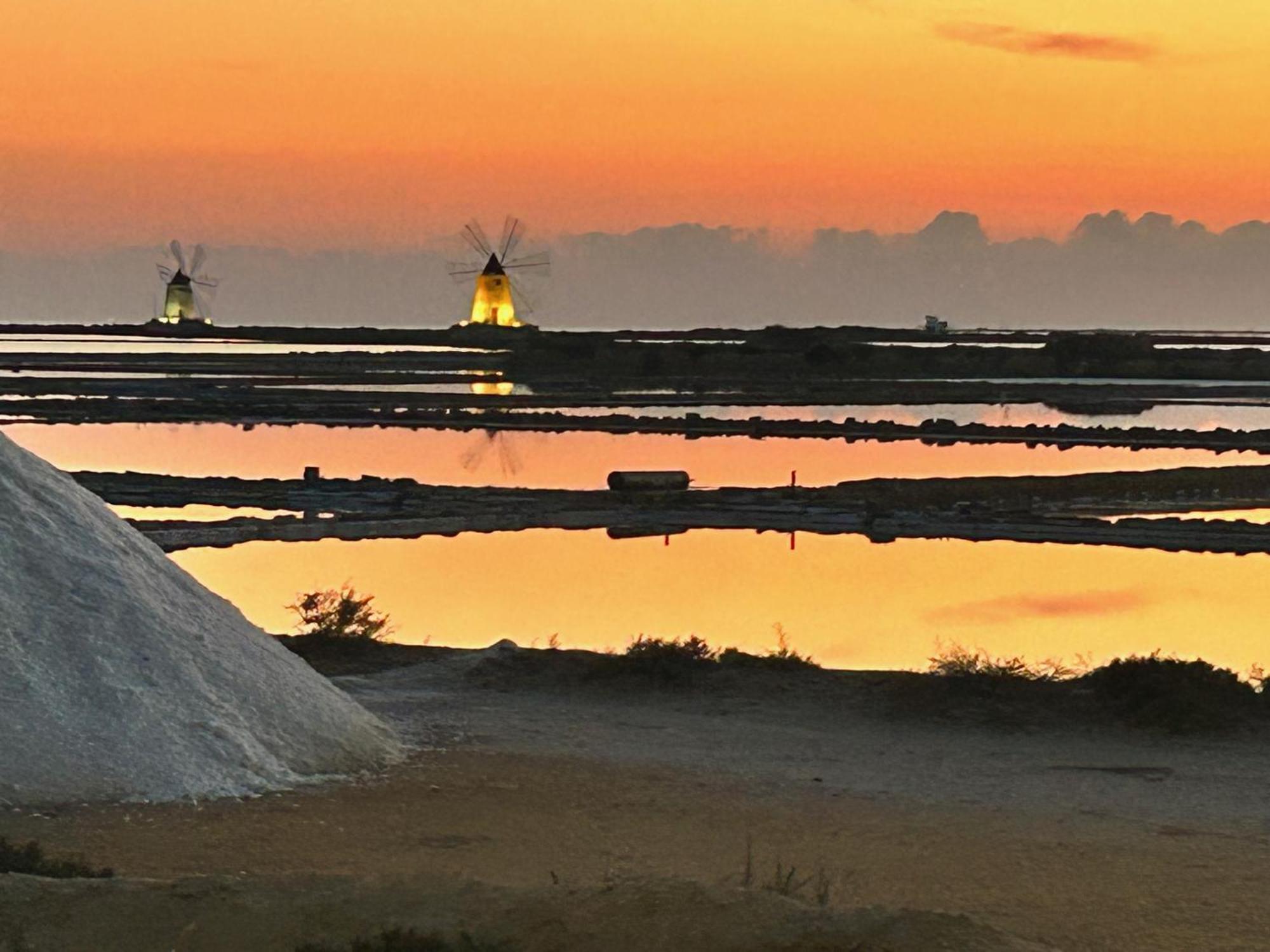 كوستوناتشي L'Oasi Una Pineta Sul Mare المظهر الخارجي الصورة