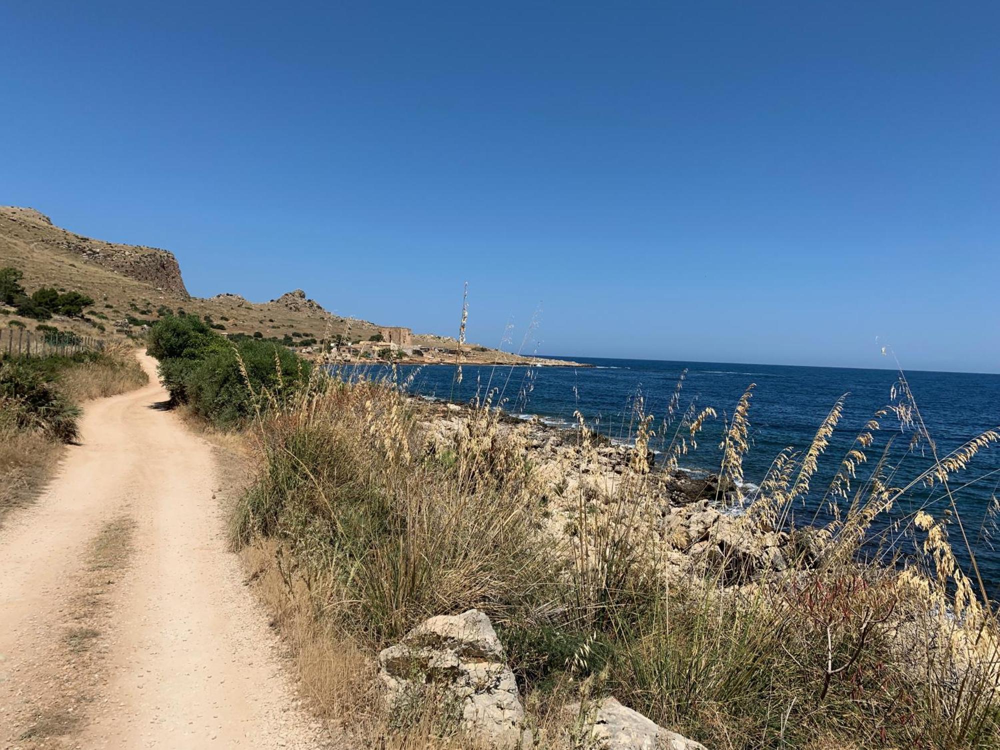 كوستوناتشي L'Oasi Una Pineta Sul Mare المظهر الخارجي الصورة